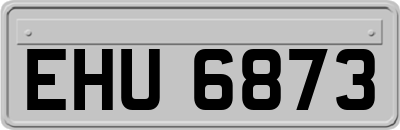 EHU6873