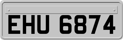 EHU6874