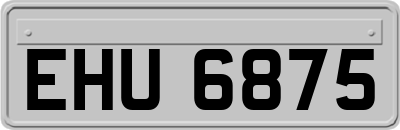 EHU6875