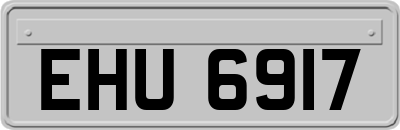 EHU6917