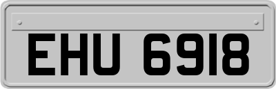 EHU6918