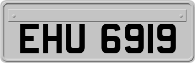 EHU6919