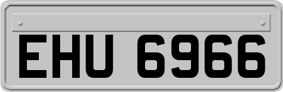 EHU6966