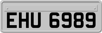 EHU6989