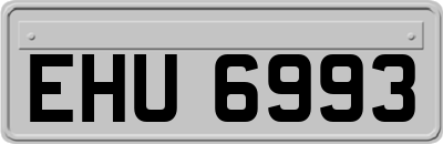 EHU6993