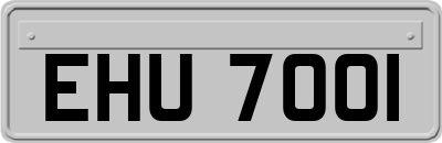 EHU7001