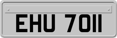 EHU7011