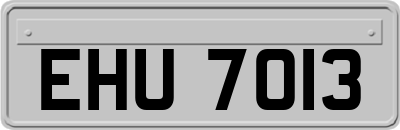EHU7013