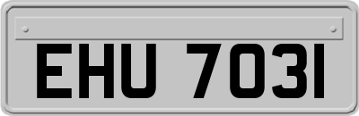 EHU7031