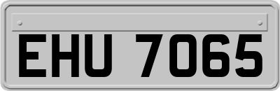 EHU7065