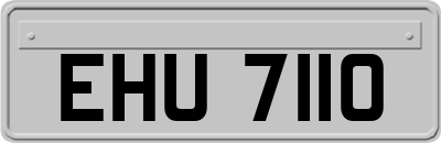 EHU7110