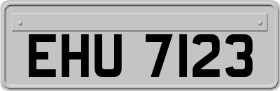EHU7123
