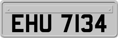 EHU7134