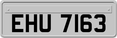 EHU7163