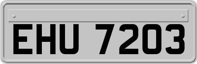 EHU7203
