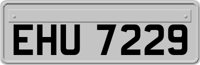 EHU7229