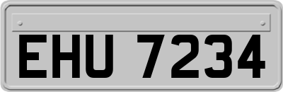 EHU7234