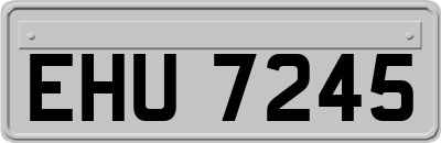 EHU7245