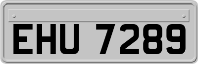 EHU7289