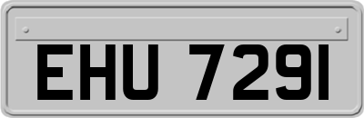 EHU7291