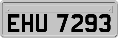EHU7293
