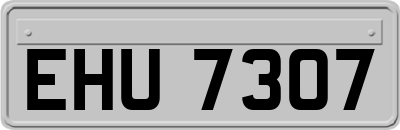 EHU7307