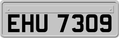 EHU7309