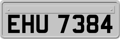 EHU7384
