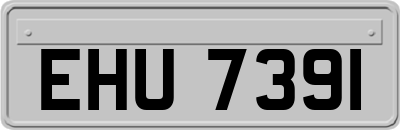 EHU7391