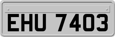 EHU7403