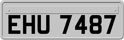 EHU7487