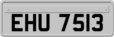 EHU7513