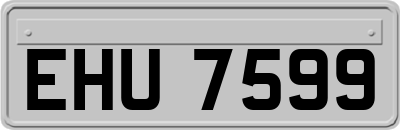 EHU7599