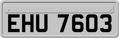 EHU7603