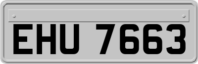 EHU7663
