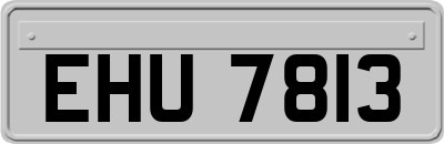 EHU7813
