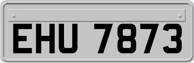 EHU7873