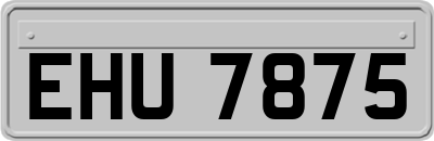 EHU7875