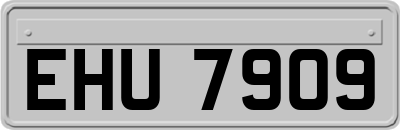 EHU7909