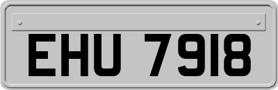 EHU7918