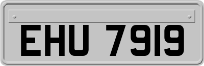 EHU7919