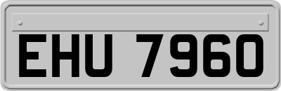 EHU7960
