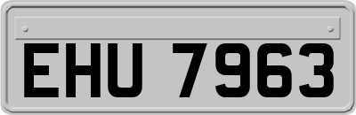EHU7963