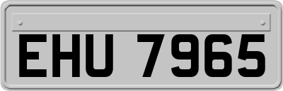 EHU7965