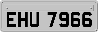 EHU7966