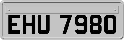 EHU7980