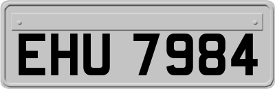 EHU7984
