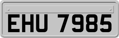EHU7985