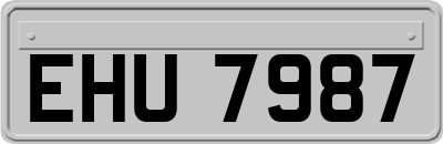 EHU7987