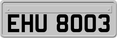 EHU8003
